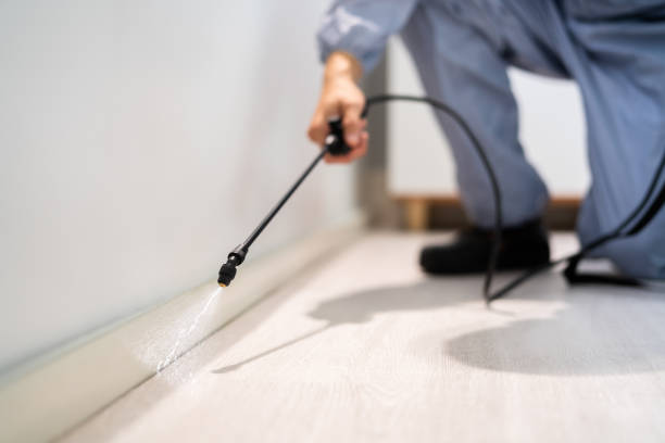 Licensed Termite Control service in Meridian, PA - Nex Pest Control