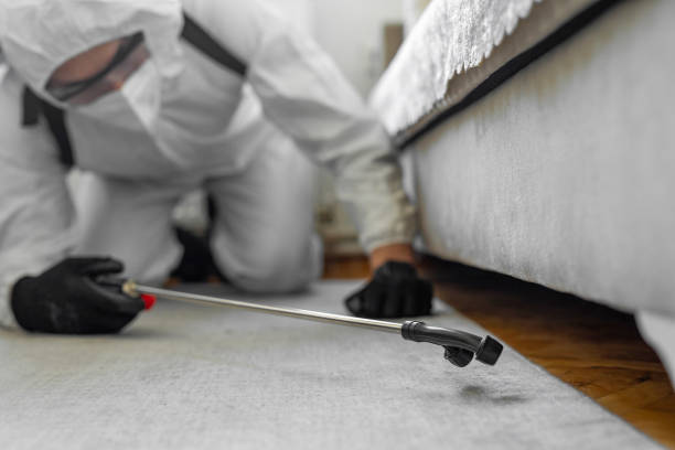 Professional Termite Control technician working in Meridian, PA