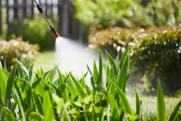 24/7 Emergency Termite Control experts in Meridian, PA